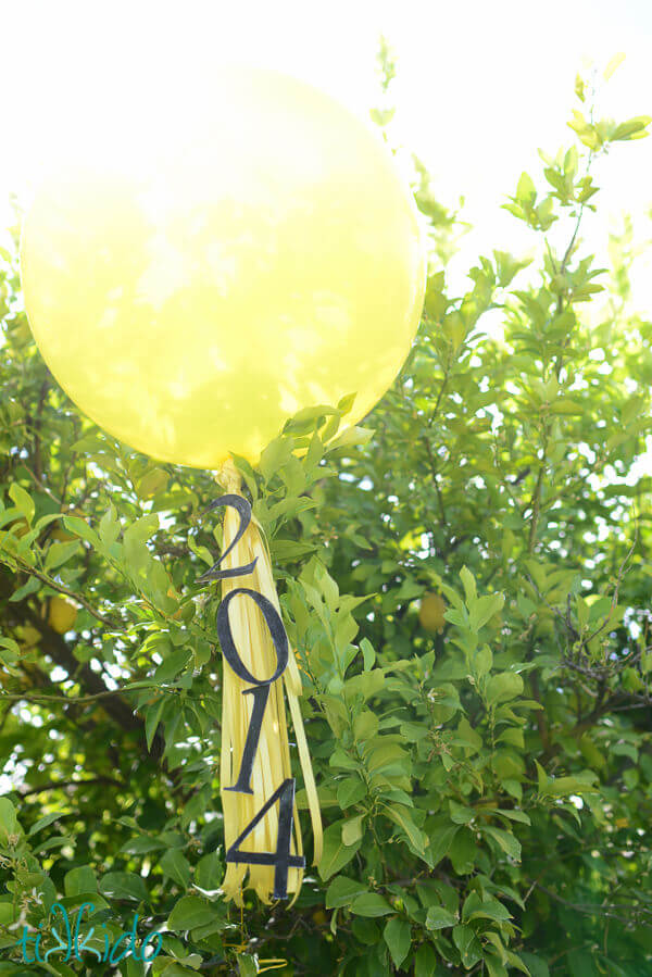 Yellow balloon with a 2014 graduation tassel decoration in front of a tree.