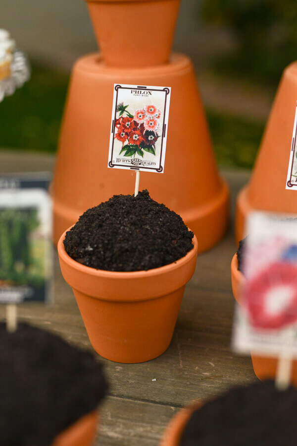 Spring garden cupcakes in terra cotta pots topped with printable vintage seed packet cupcake toppers.