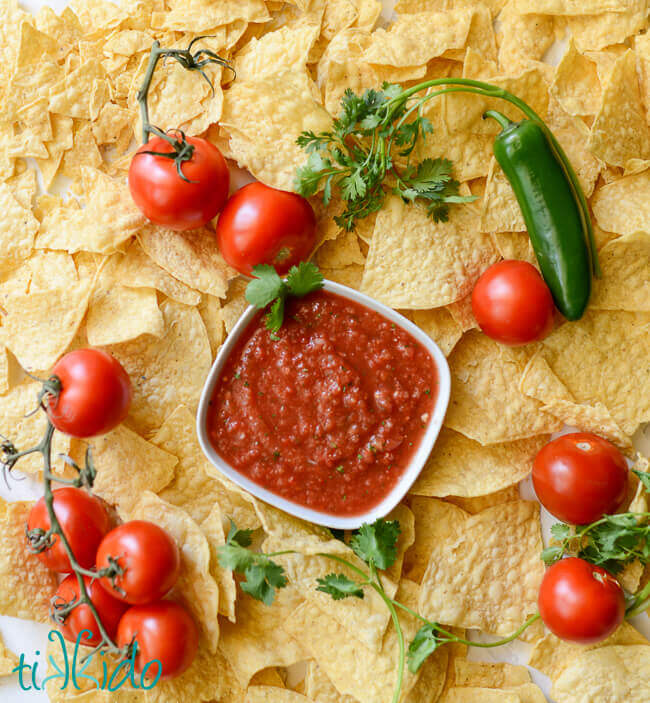 Bowl of classic red salsa surrounded by tortilla chips, fresh tomatoes, cilantro, and a jalapeno pepper.