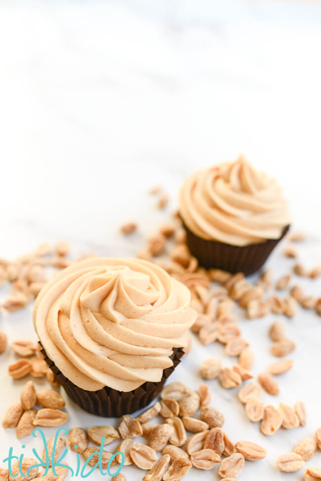 Two chocolate cupcakes with peanut butter frosting, surrounded by roasted peanuts.