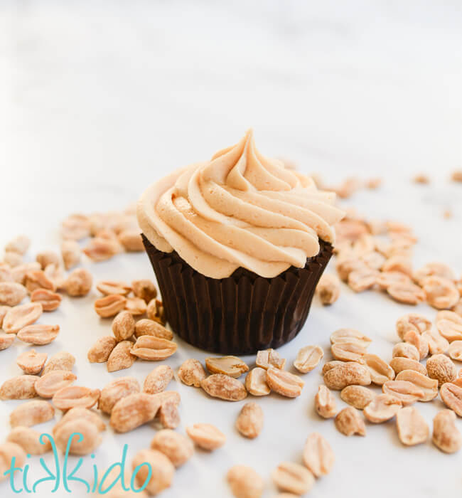 Chocolate cupcake with Peanut Butter Frosting, surrounded by roasted peanuts.