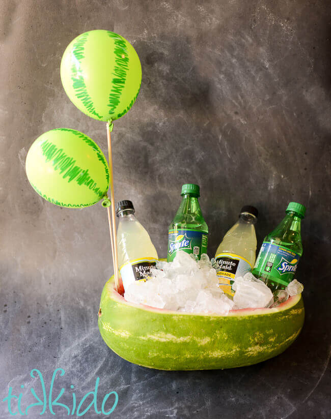 Watermelon balloons decorating a hollowed out watermelon filled with ice and drinks.
