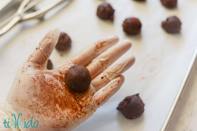 Food-save gloved hand holding a rounded chocolate raspberry truffle.