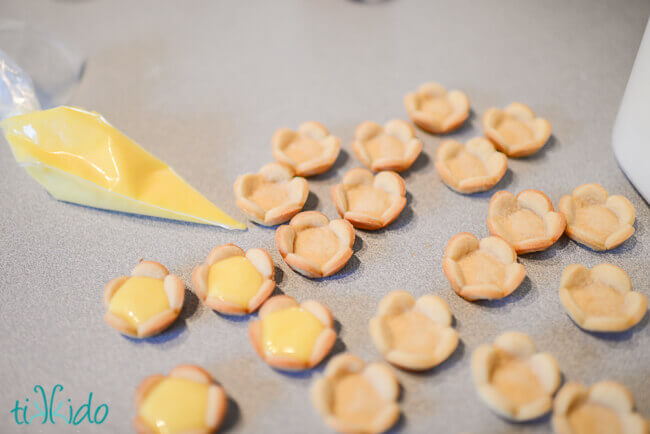 Flower shaped mini tart shells being filled with lemon curd from a clear pastry bag full of lemon curd.