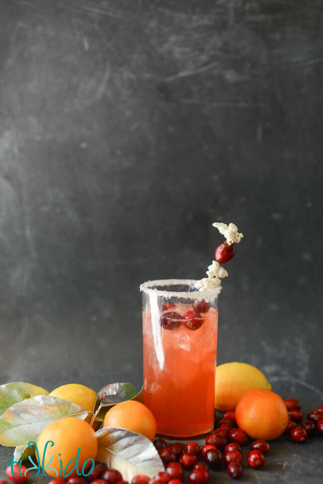 Merry and Bright citrus Christmas cocktail garnished with a drink stirrer threaded with popcorn and cranberries, and edible snow-like rim on the glass, on a black chalkboard background surrounded by fresh oranges, lemons, and cranberries.