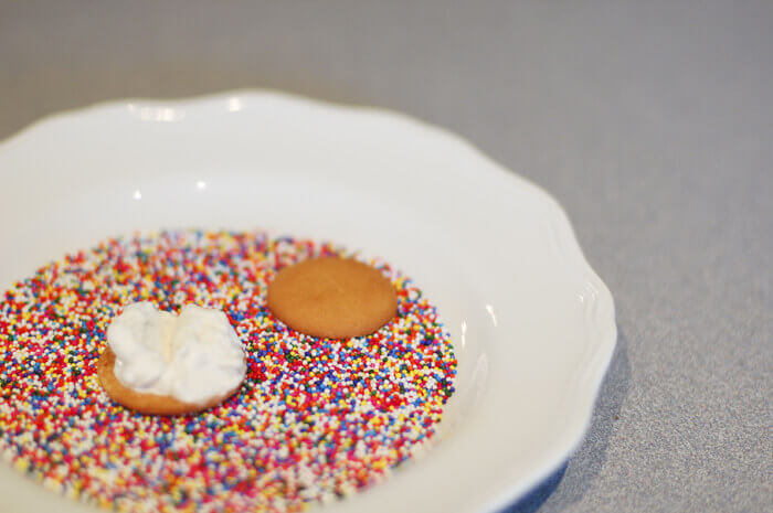 Nilla wafer spread with vanilla ice cream on a plate full of rainbow sprinkles.