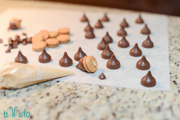 Assembly of chocolate peanut butter acorns