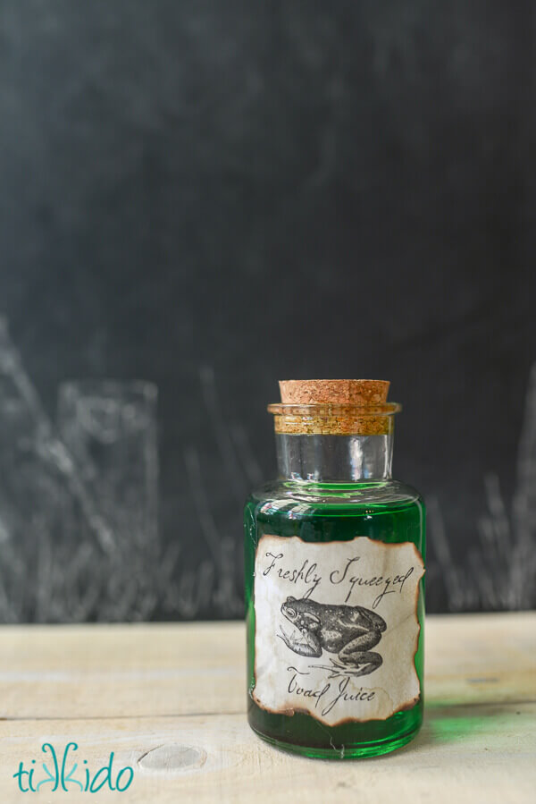 Halloween potion bottle, filled with green liquid and with an aged label that reads Freshly Squeezed Toad Juice