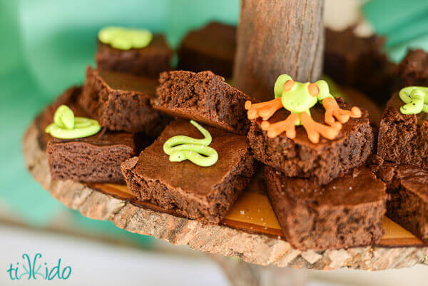 Brownies topped with  gum paste tree frogs and snakes at the Jungle Party