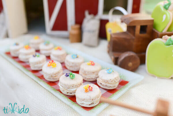 macarons topped with rainbow colored gum paste flowers at the My Little Pony Birthday