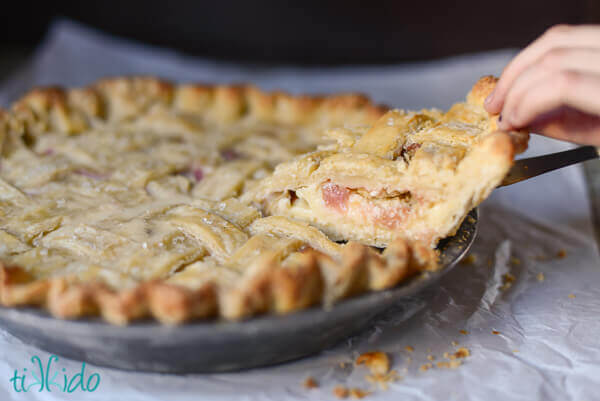 Slice of rhubarb custard pie being taken out of the pie tin.