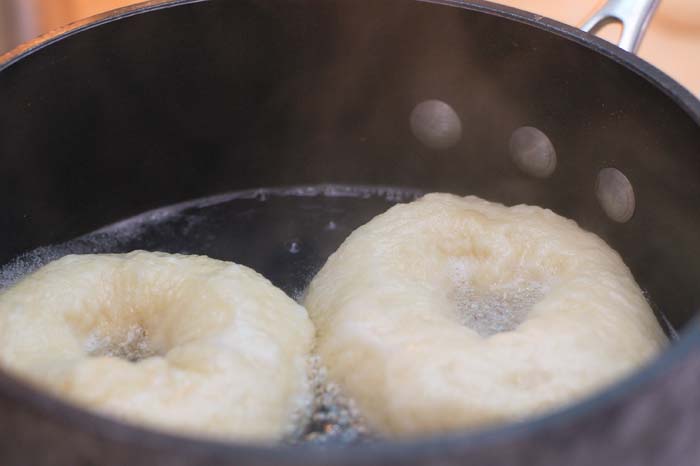 Uncooked bagels being boiled in water and barley syrup before baking.