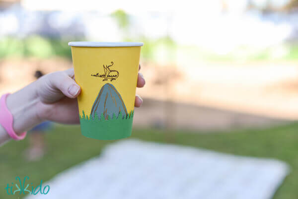 Hobbit themed paper cups at the Lord of the Rings birthday