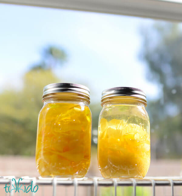 Two mason jars full of everclear and lemon zest on a shelf in the sun.
