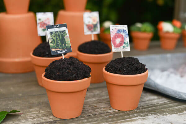 Spring garden cupcakes in terra cotta pots topped with printable vintage seed packet cupcake toppers.