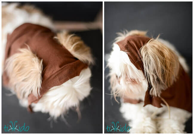 diy dog ewok costume