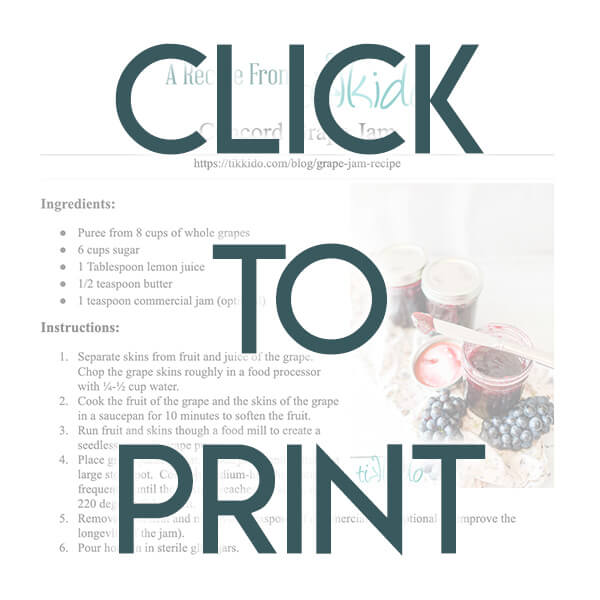 Navigational image leading reader to printable, PDF version of the Concord grape jam recipe