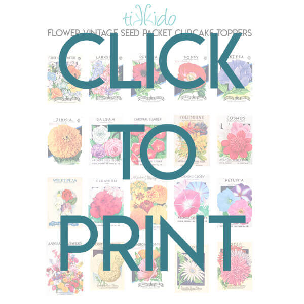 Free printable vintage flower seed packet images
