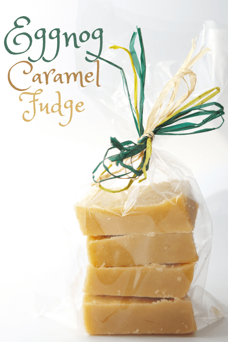 Clear plastic bag filled with four pieces of Eggnog Caramel Fudge, tied with green and yellow rafia.