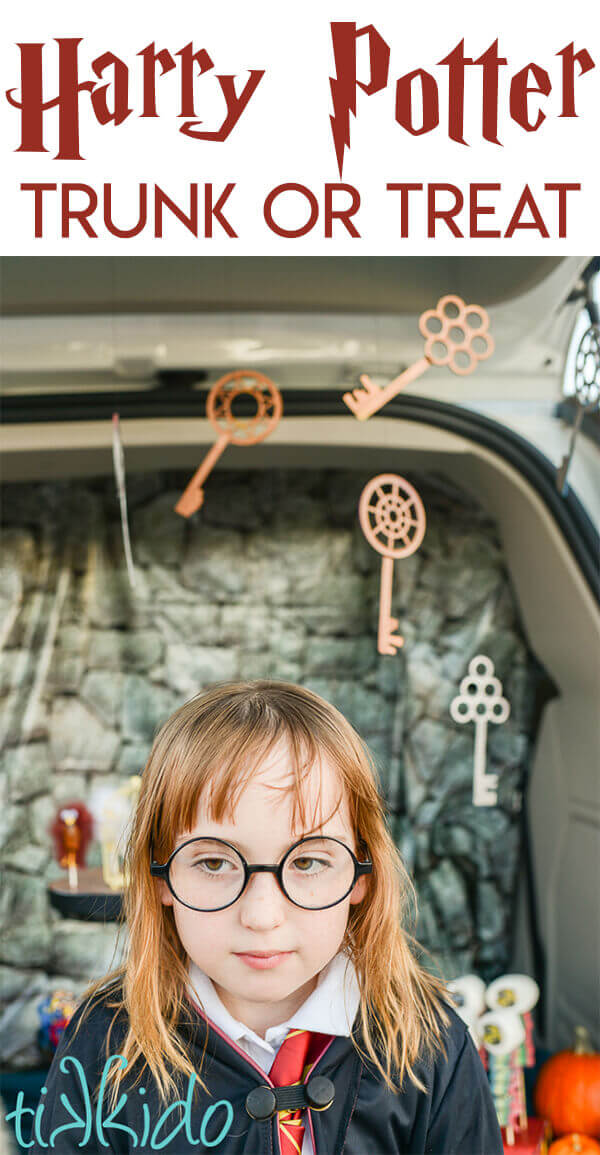 Harry Potter Birthday Party for Kids - Fern and Maple