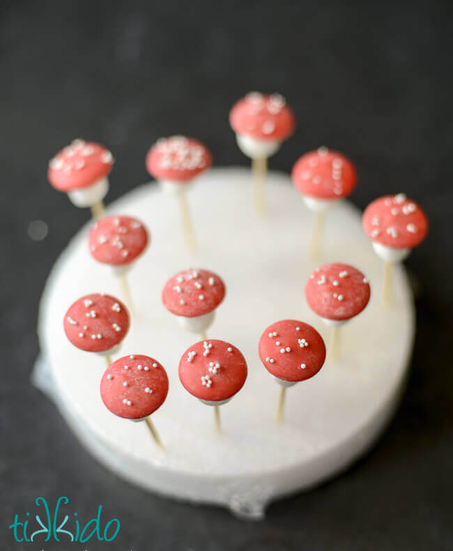 red and white chocolate mushrooms drying on a foam disk.