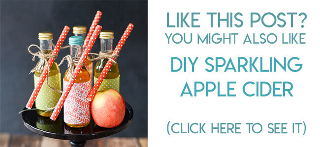 Navigational image leading reader to DIY sparkling apple cider tutorial