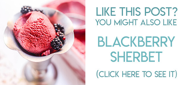 Navigational image leading reader to blackberry sherbet recipe.