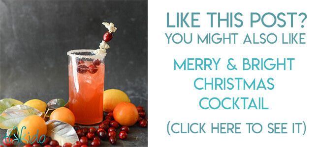 Navigational image leading reader to Citrus Christmas Cocktail Recipe