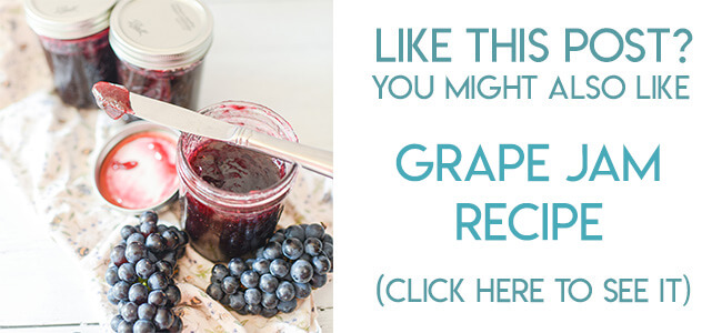 Navigational image leading reader to grape jam recipe.