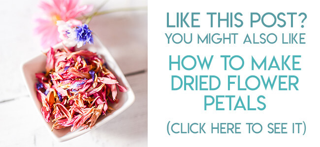 navigational image leading reader to tutorial for how to make edible dried flower petals in the oven.
