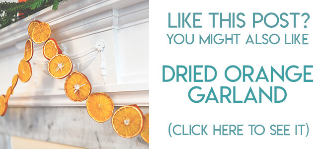 Navigational image leading reader to dried orange slice garland tutorial.