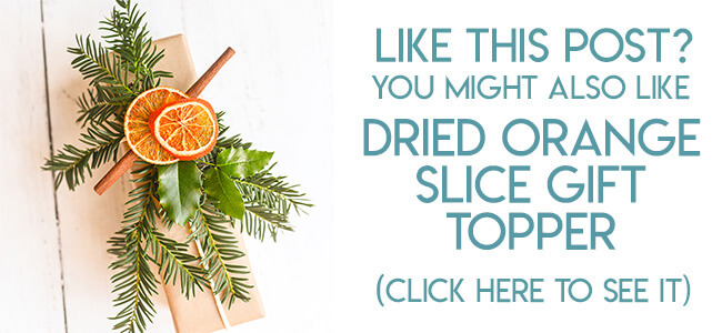 Navigational image leading reader to dried orange slice gift topper tutorial.