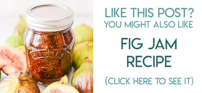 navigational image leading reader to fig jam recipe.