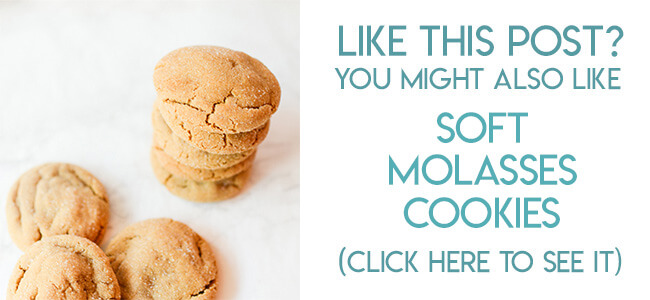 Navigational link leading reader to soft molasses cookie recipe.