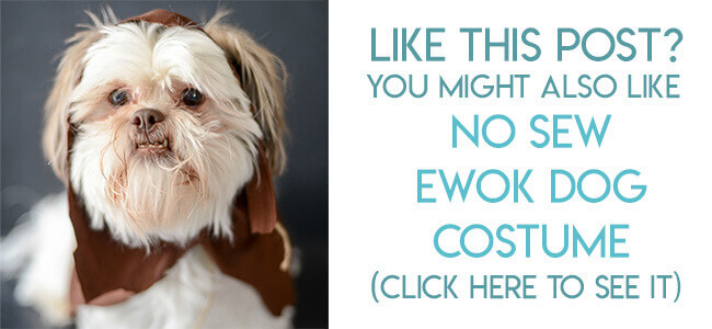 navigational image leading reader to no sew Ewok dog costume tutorial.