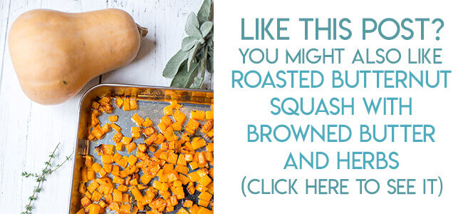 All about butternut squash: A beginner's guide - Rhubarbarians