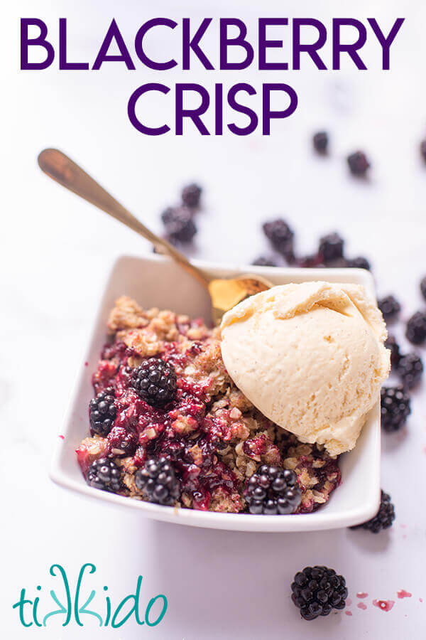 blackberry crisp with a scoop of vanilla ice cream in a white bowl.