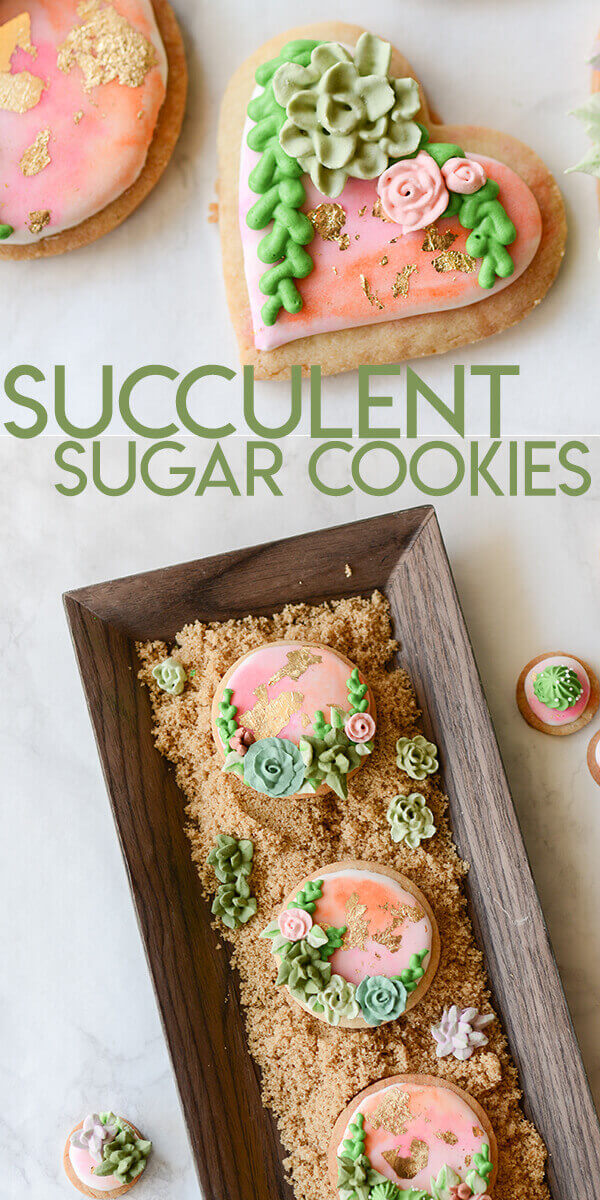 collage of succulent sugar cookies optimized for pinterest