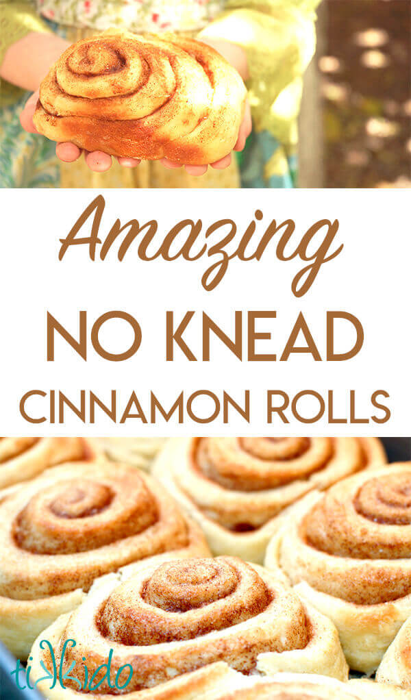 Tender, delicious, amazing no knead cinnamon roll recipe.