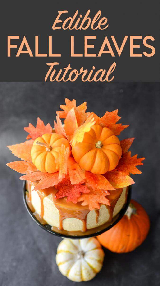 Cake topped with mini pumpkins and edible fall leaves made out of wafer paper.