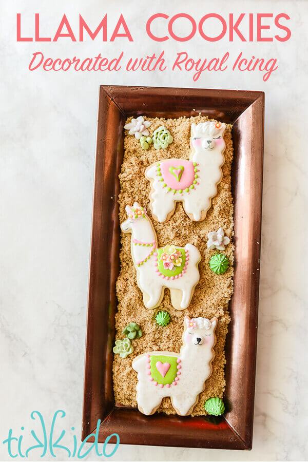 Three cute llama or alpaca sugar cookies decorated with royal icing.