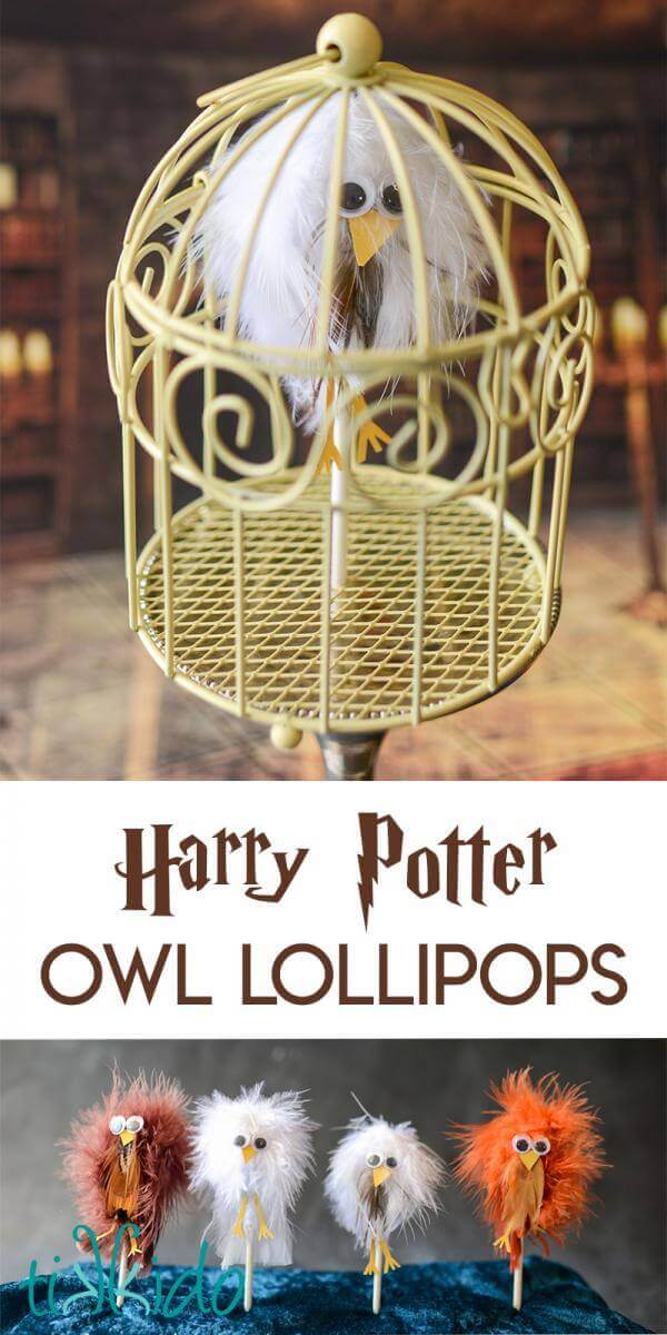 Lollipops that look like feather covered owls for a Harry Potter party.