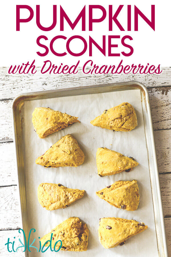 Pumpkin scones with dried cranberries on a parchment lined baking sheet on a white wooden surface.