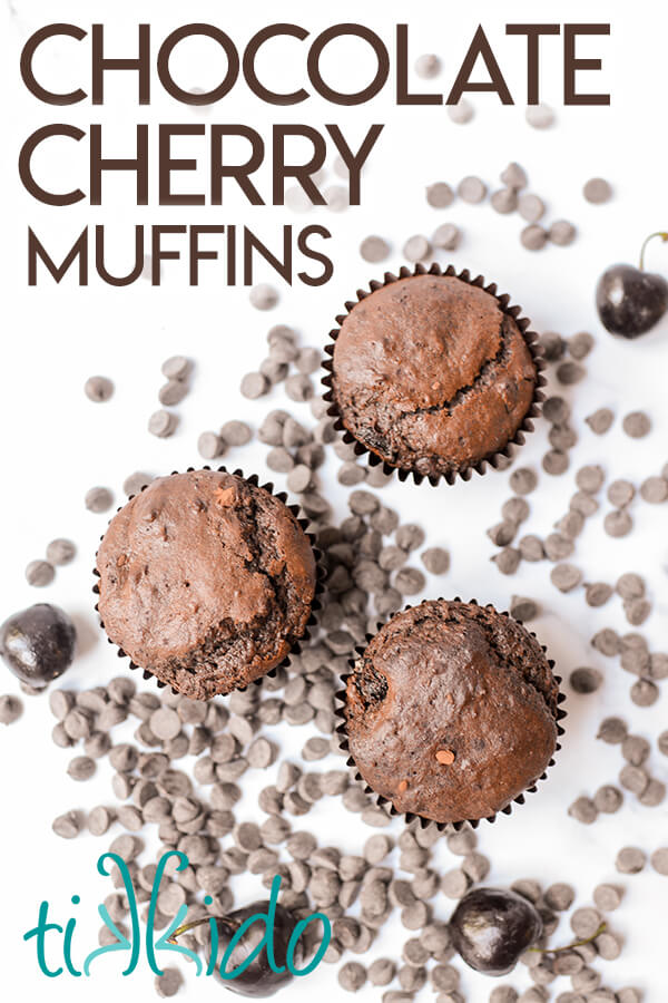 Three chocolate cherry muffins surrounded by chocolate chips and fresh cherries.