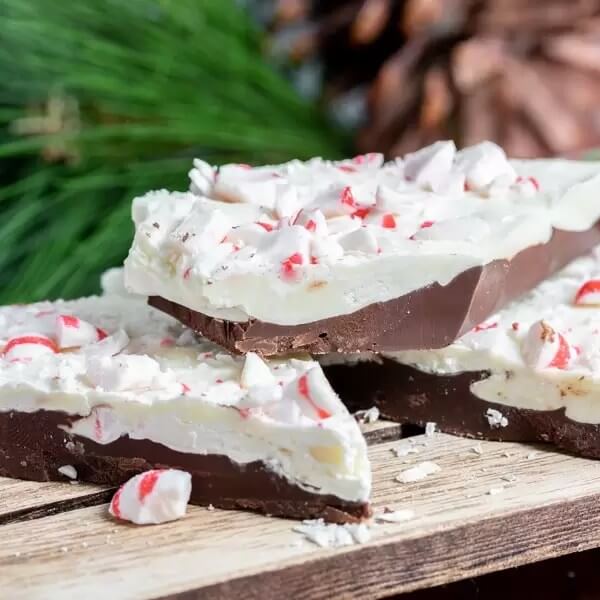 Peppermint bark made with milk chocolate and white chocolate on a wooden surface in front of fresh evergreen branches.