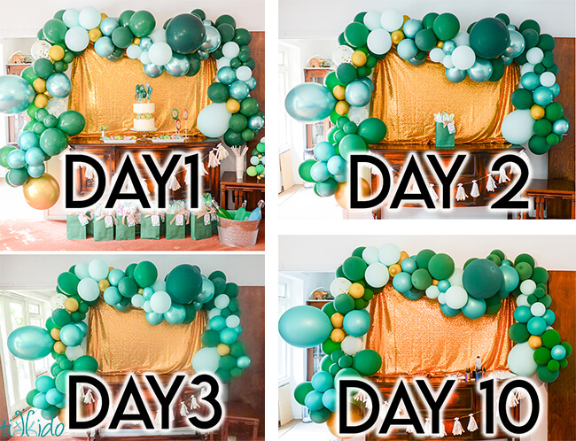 Collage of balloon garland photos, showing how the balloon garland looks from the day its made through day 10.