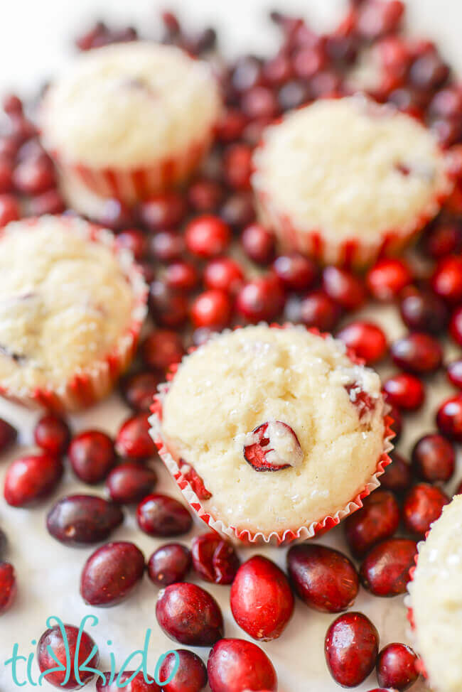 Fresh cranberry muffins surrounded by fresh cranberries.