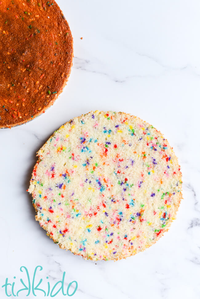 A baked layer of funfetti cake cut in half so that you can see the rainbow sprinkles on the inside of the funfetti cake.