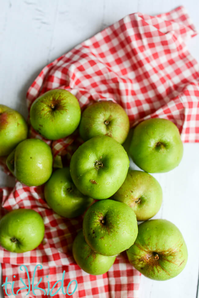 Bramley cooking apples on a red and white gingham kitchen towel on a white wooden surface.