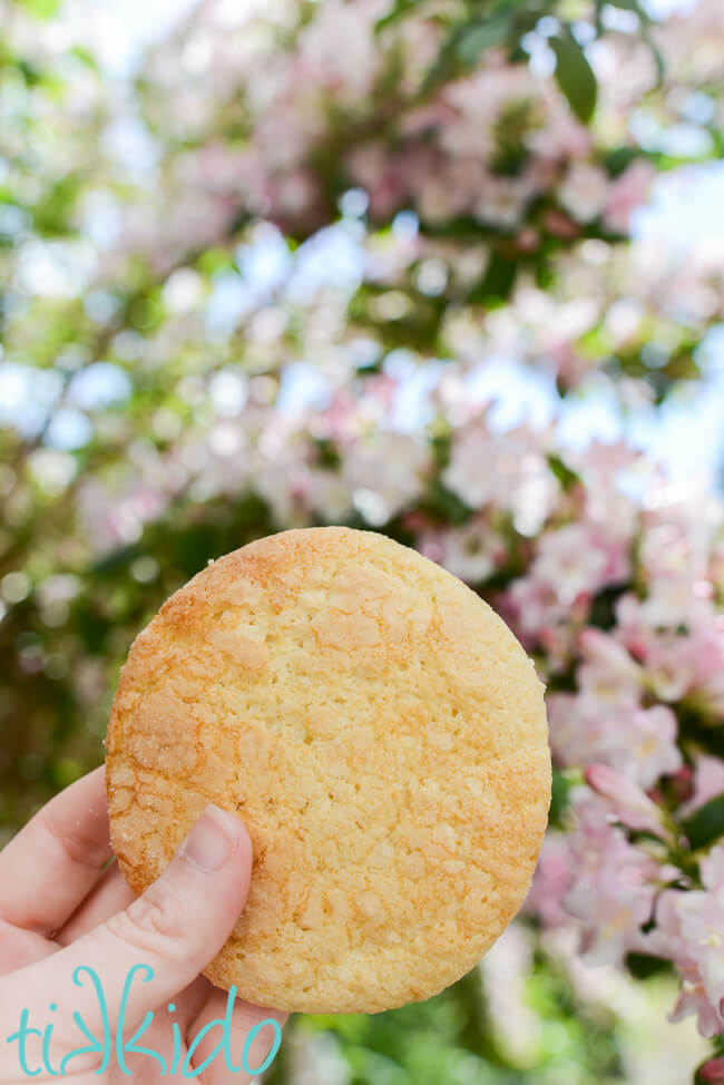 Hand holding a large, soft sugar cookie.